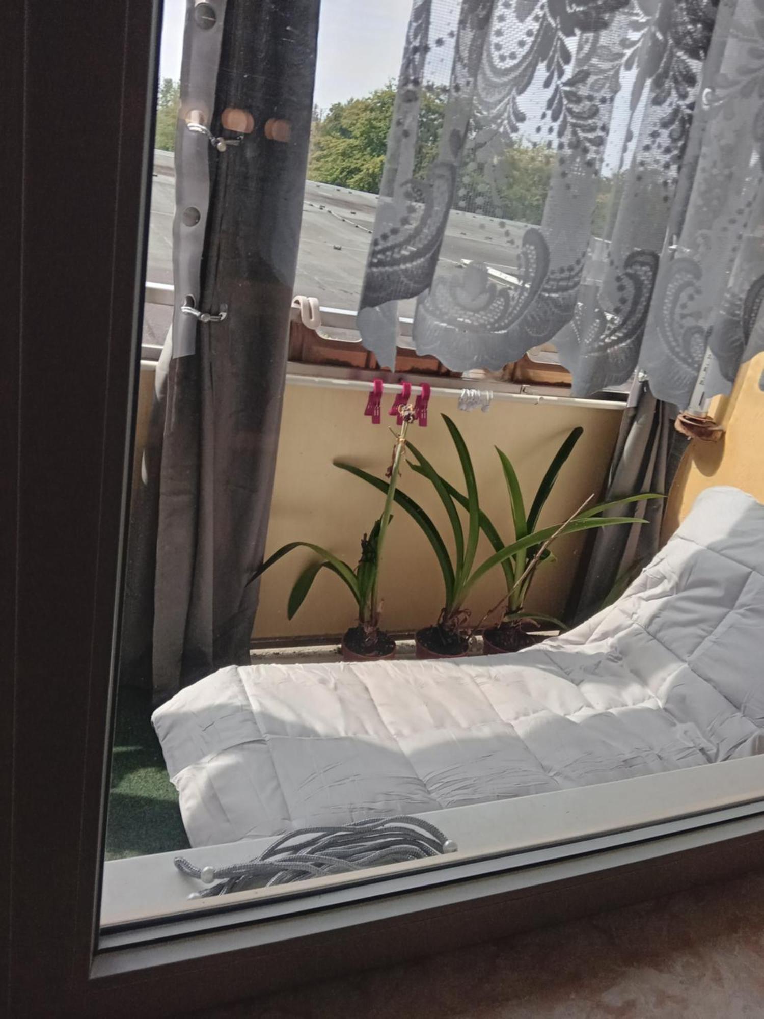 Wohnung 416, Am Kurpark 3, 38700 Браунлаге Екстериор снимка